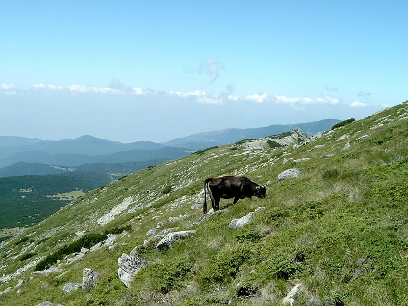 pirin_a_rila_08_74.jpg